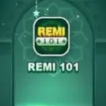 remi101 banner