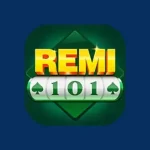 remi101